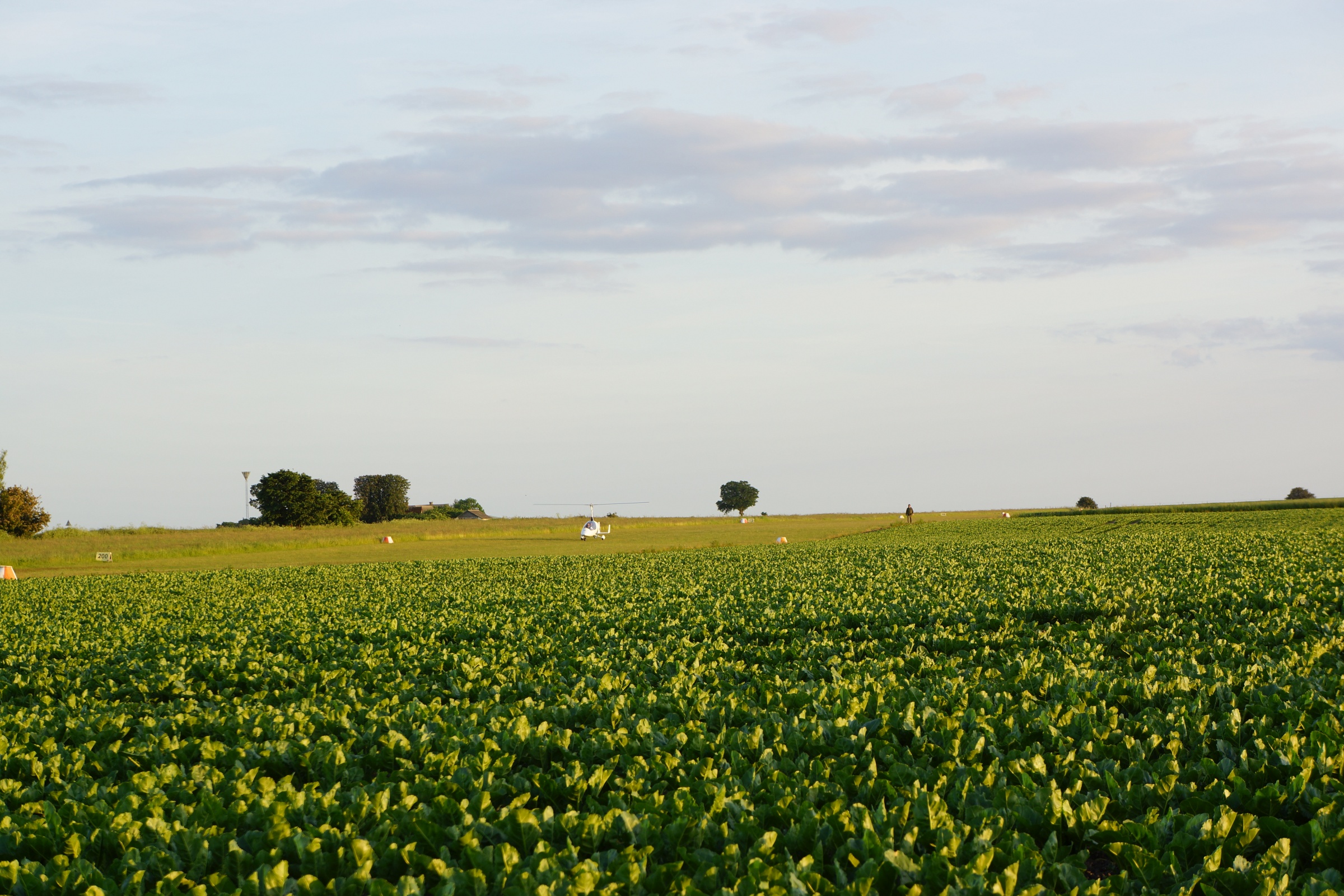 DSC07776, gyro land 40.jpg